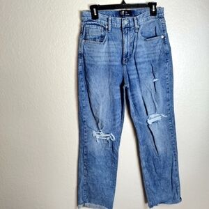 GAP distressed 90s loose jeans sz 6/28